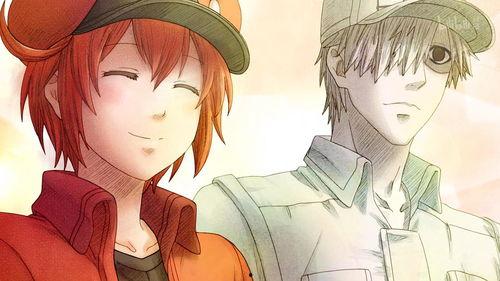 工作细胞 漫画,揭秘工作细胞中的奇幻旅程